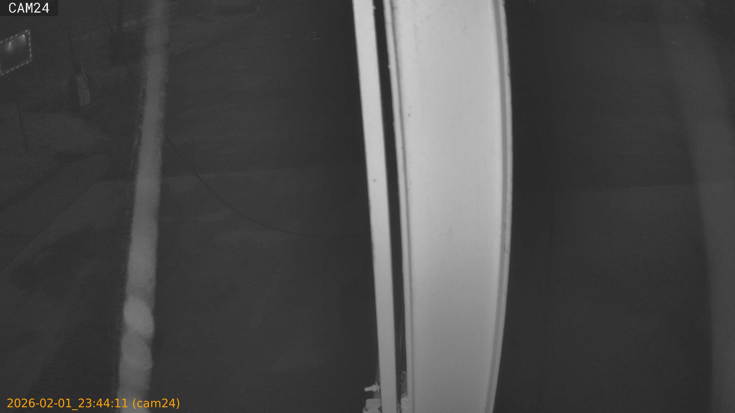 thumbnail_20260201234411