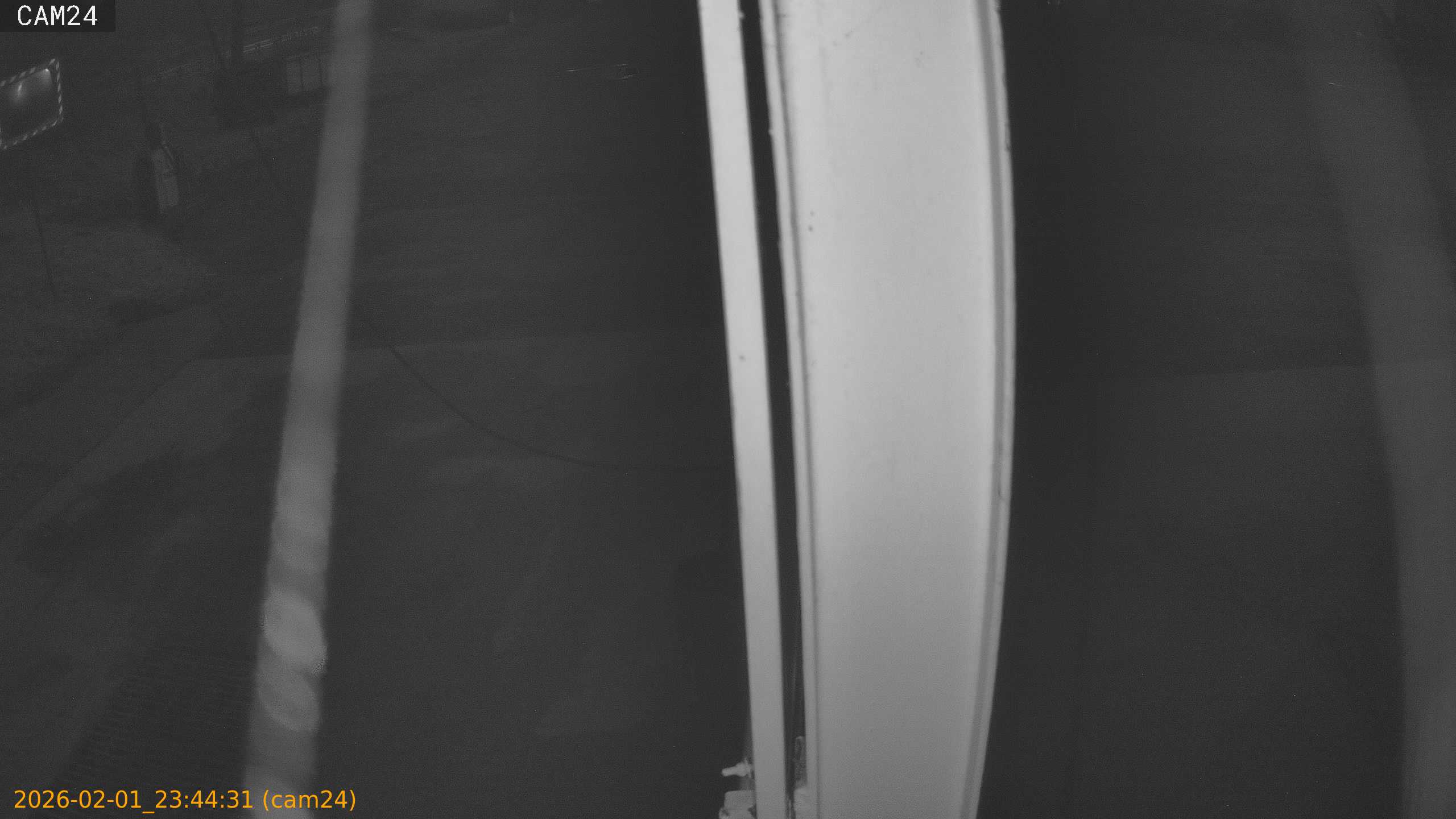 thumbnail_20260201234431