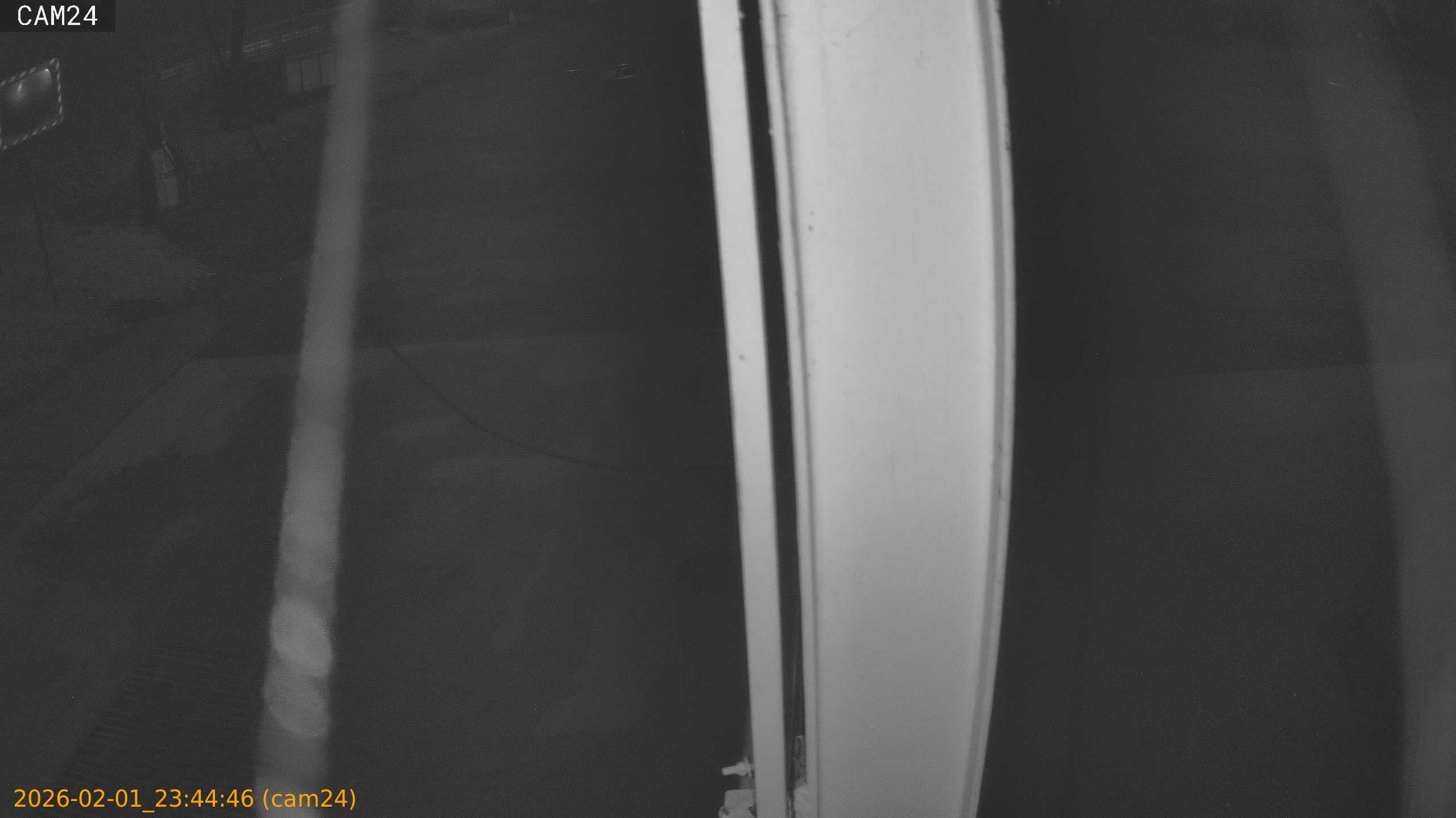 thumbnail_20260201234446