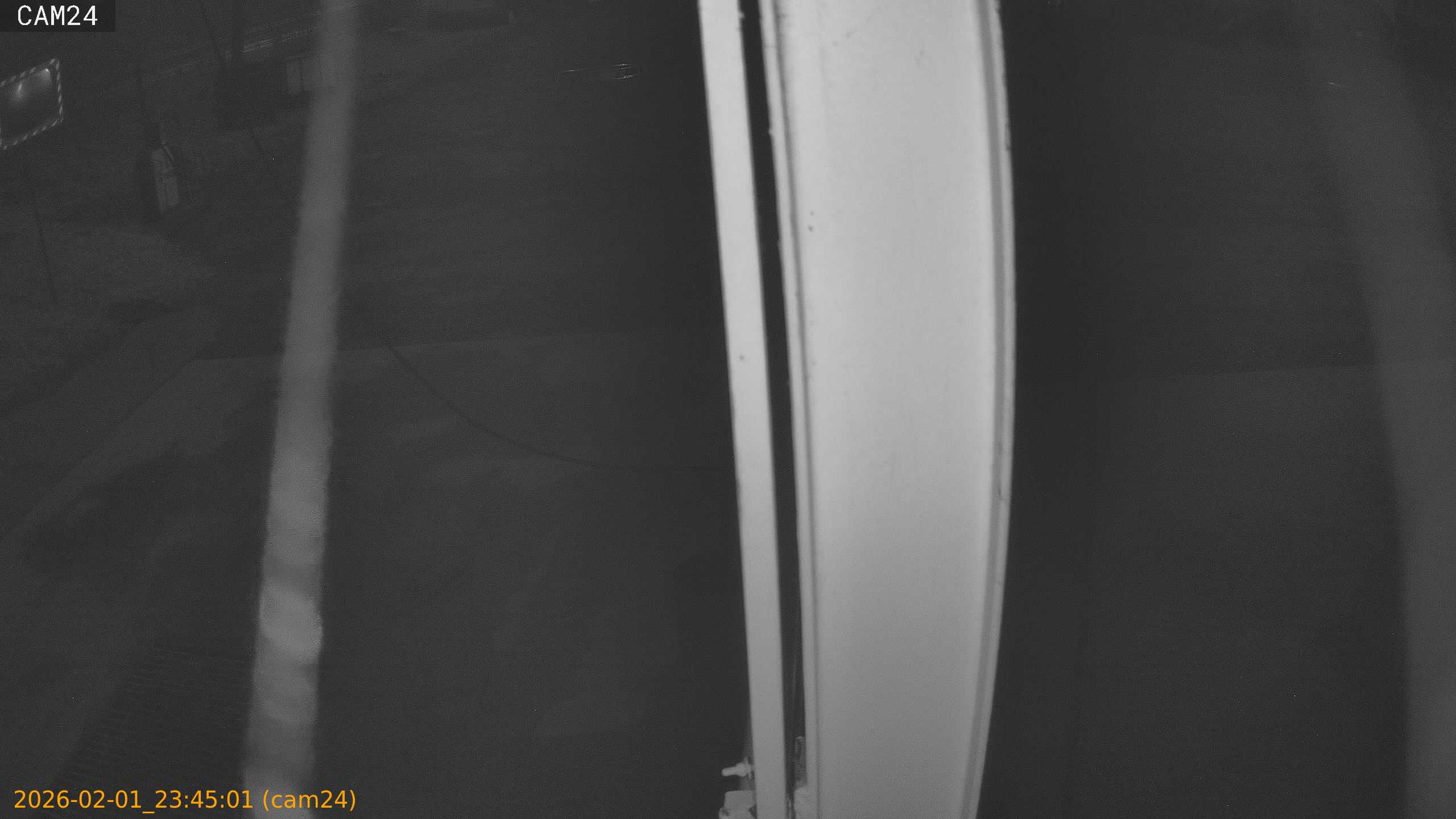 thumbnail_20260201234501