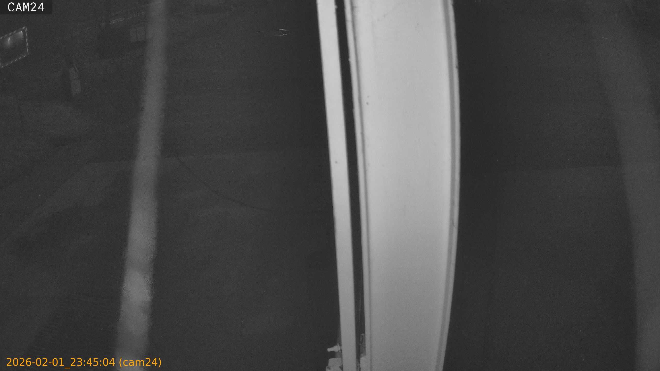 thumbnail_20260201234504