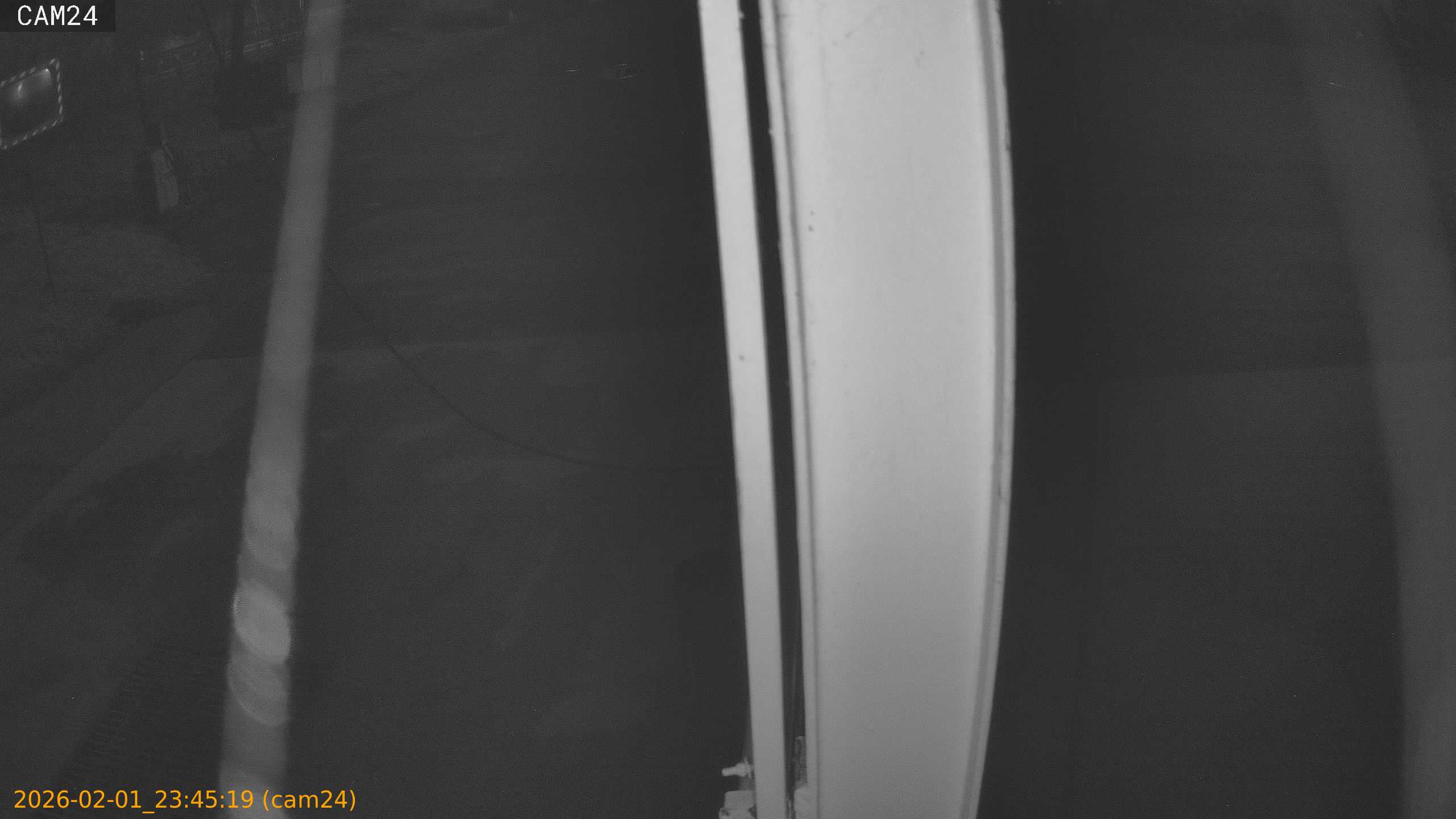 thumbnail_20260201234519