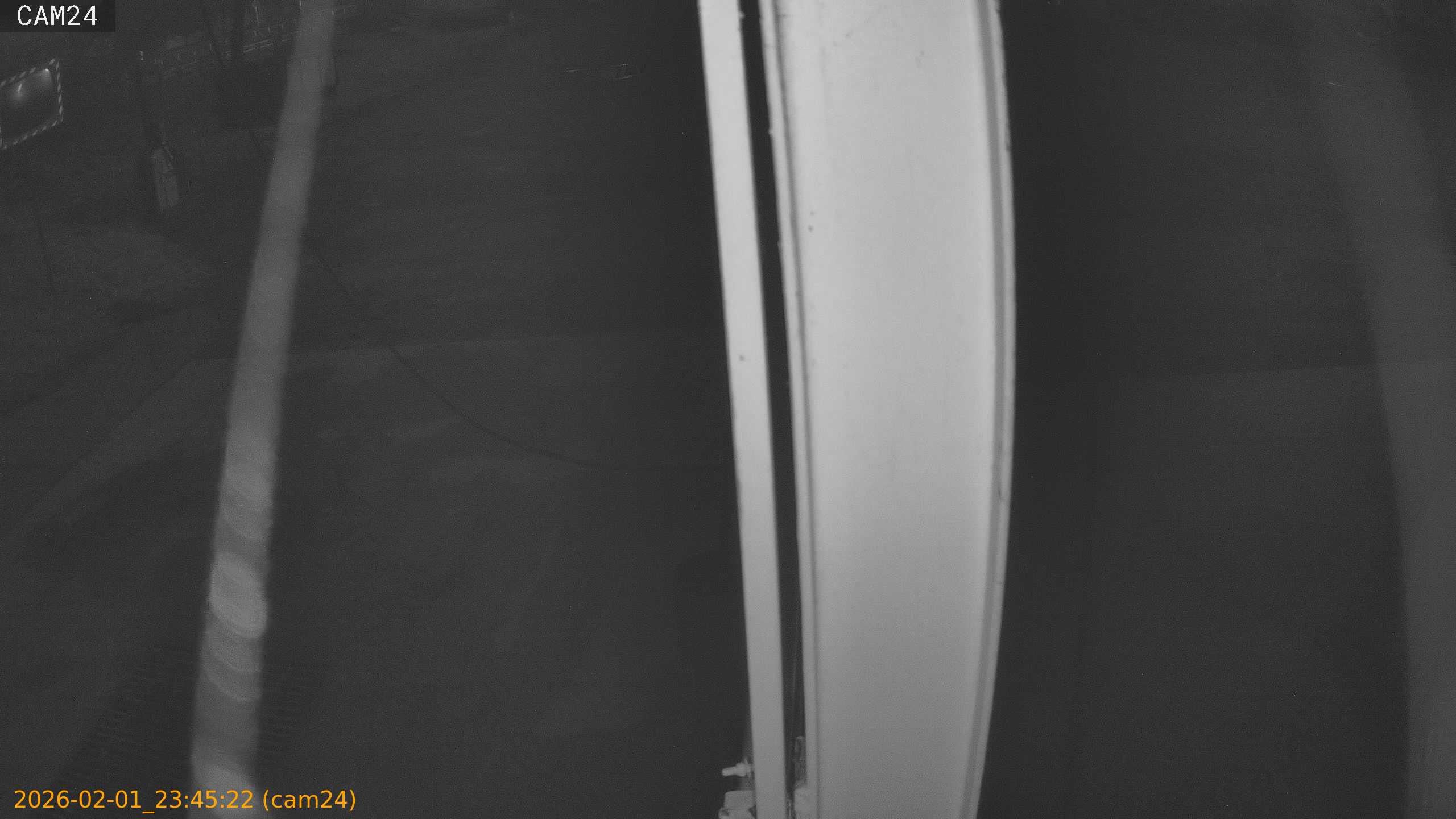 thumbnail_20260201234522