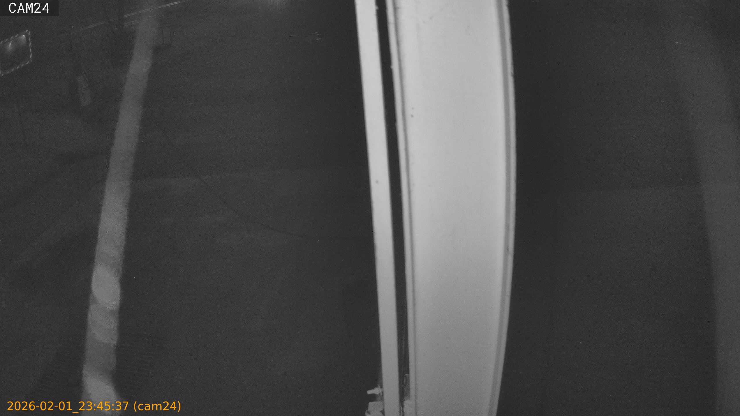 thumbnail_20260201234537