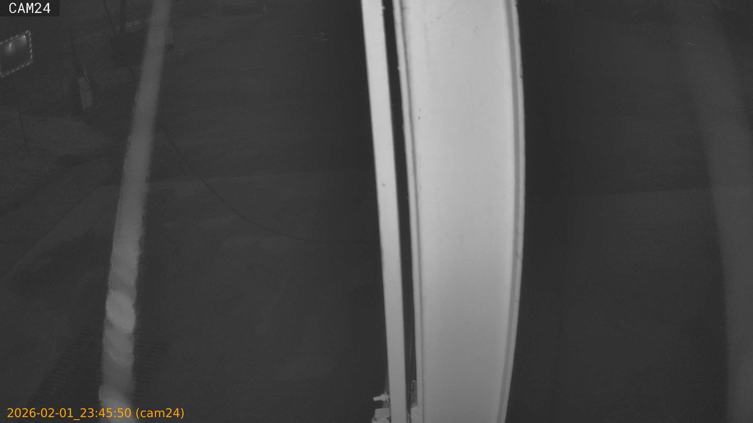 thumbnail_20260201234550