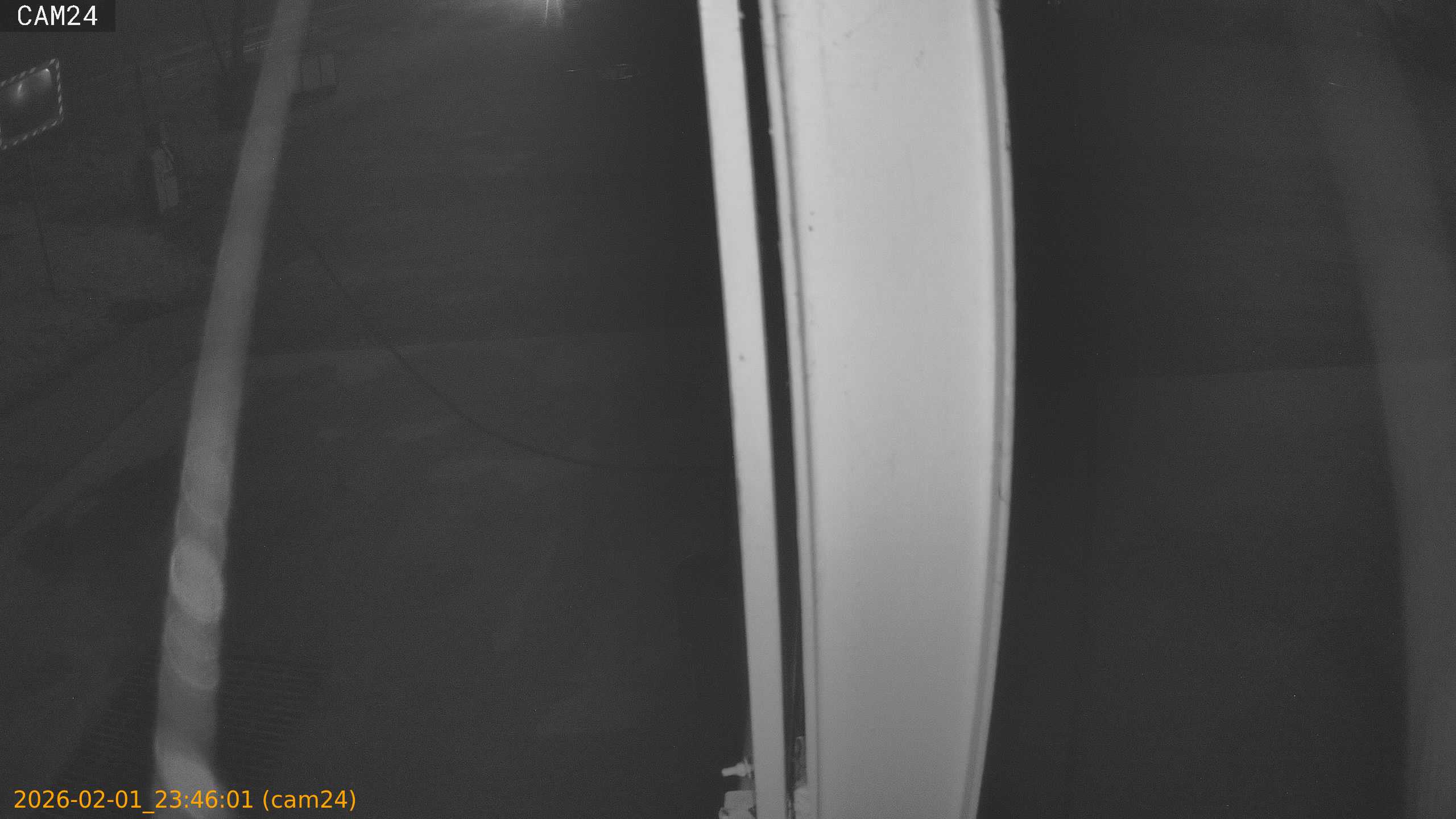 thumbnail_20260201234601