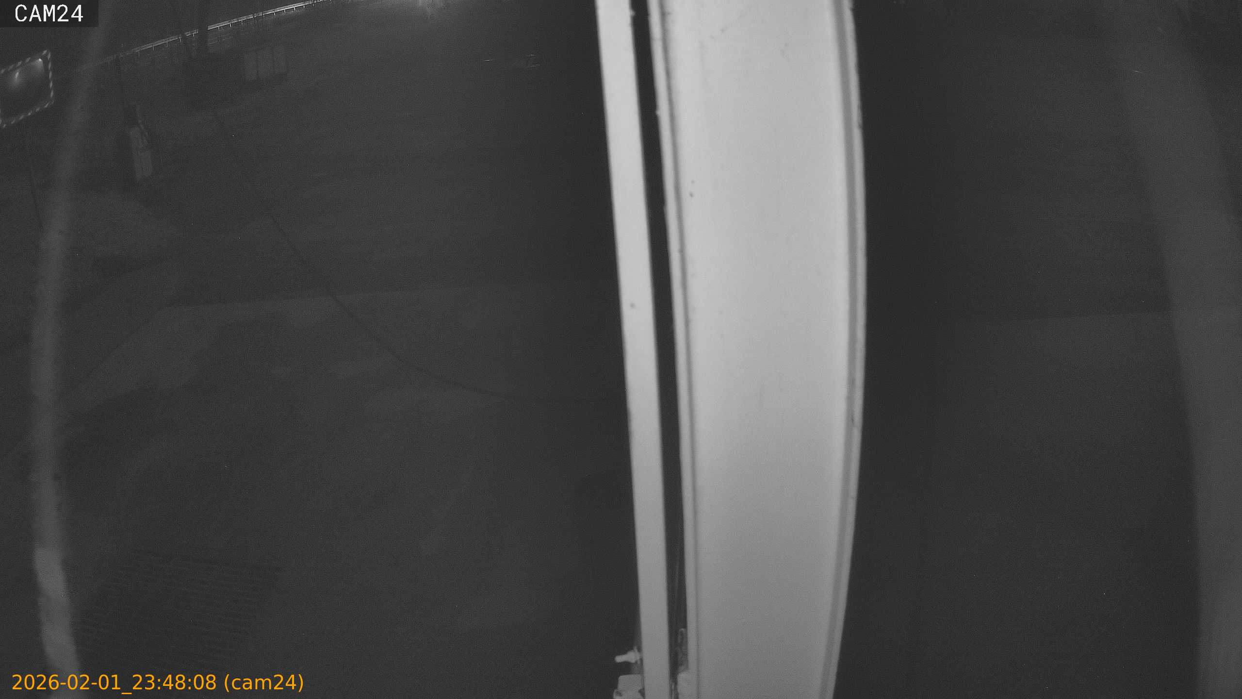 thumbnail_20260201234808