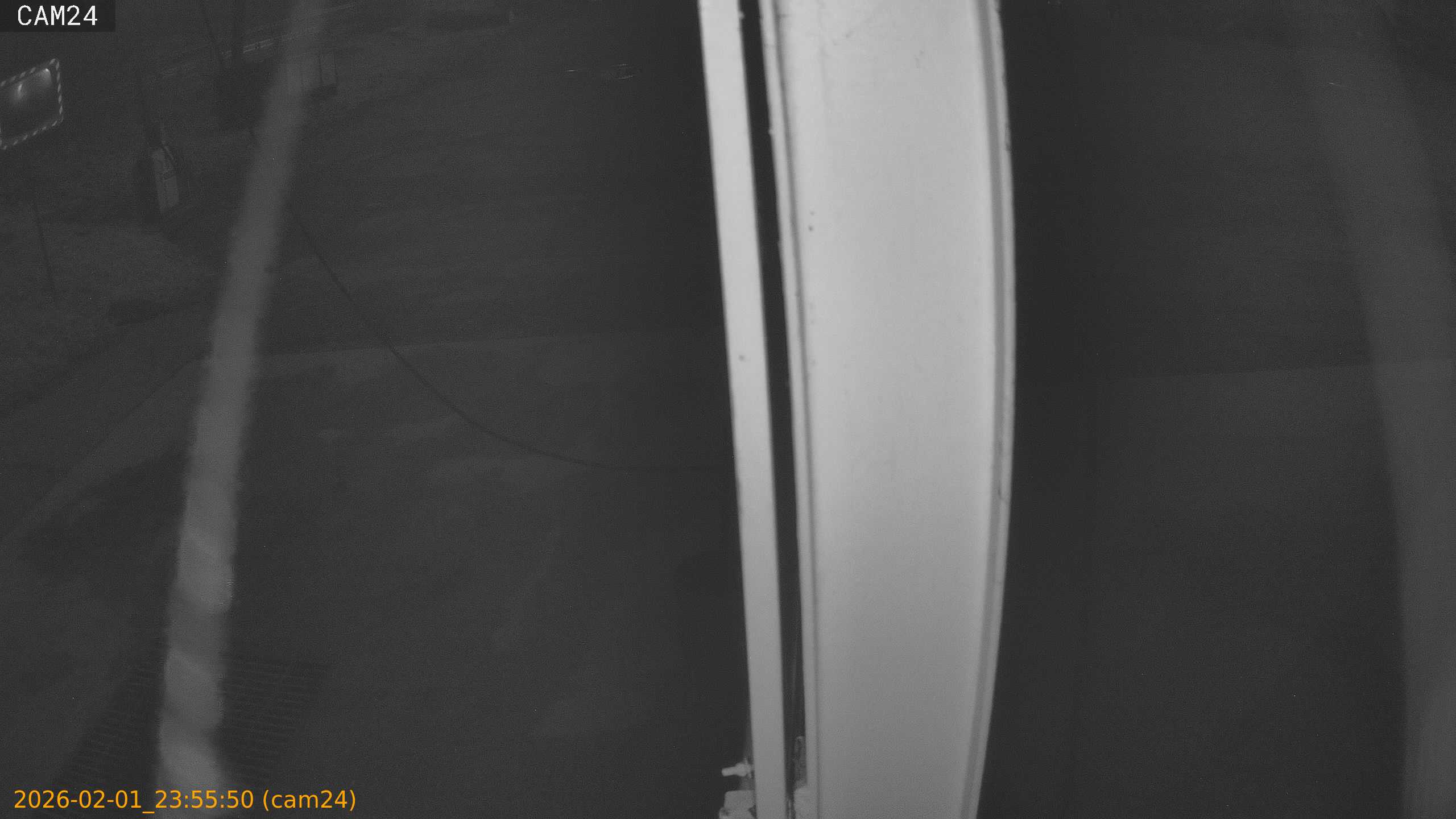 thumbnail_20260201235550