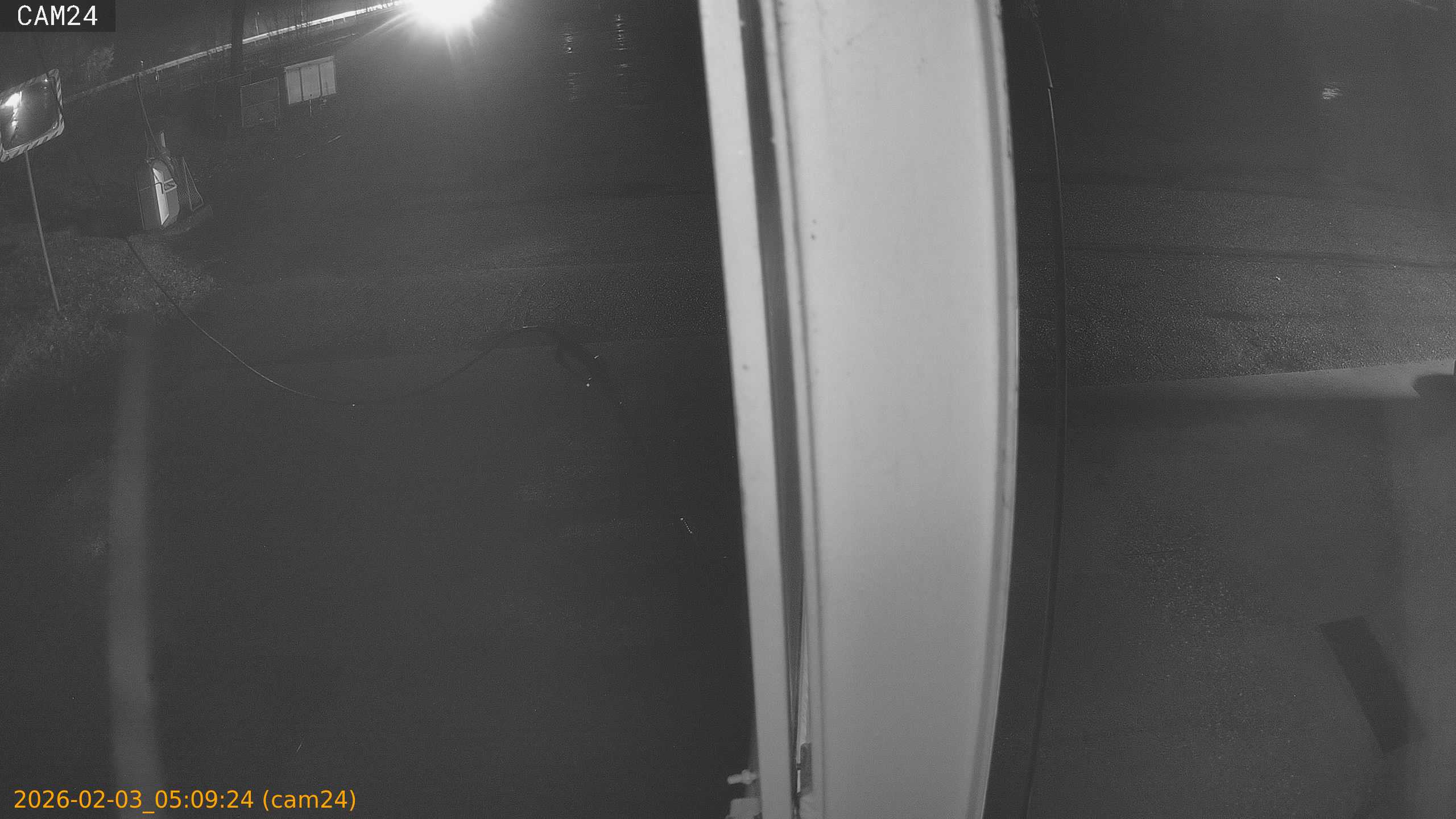 thumbnail_20260203050924