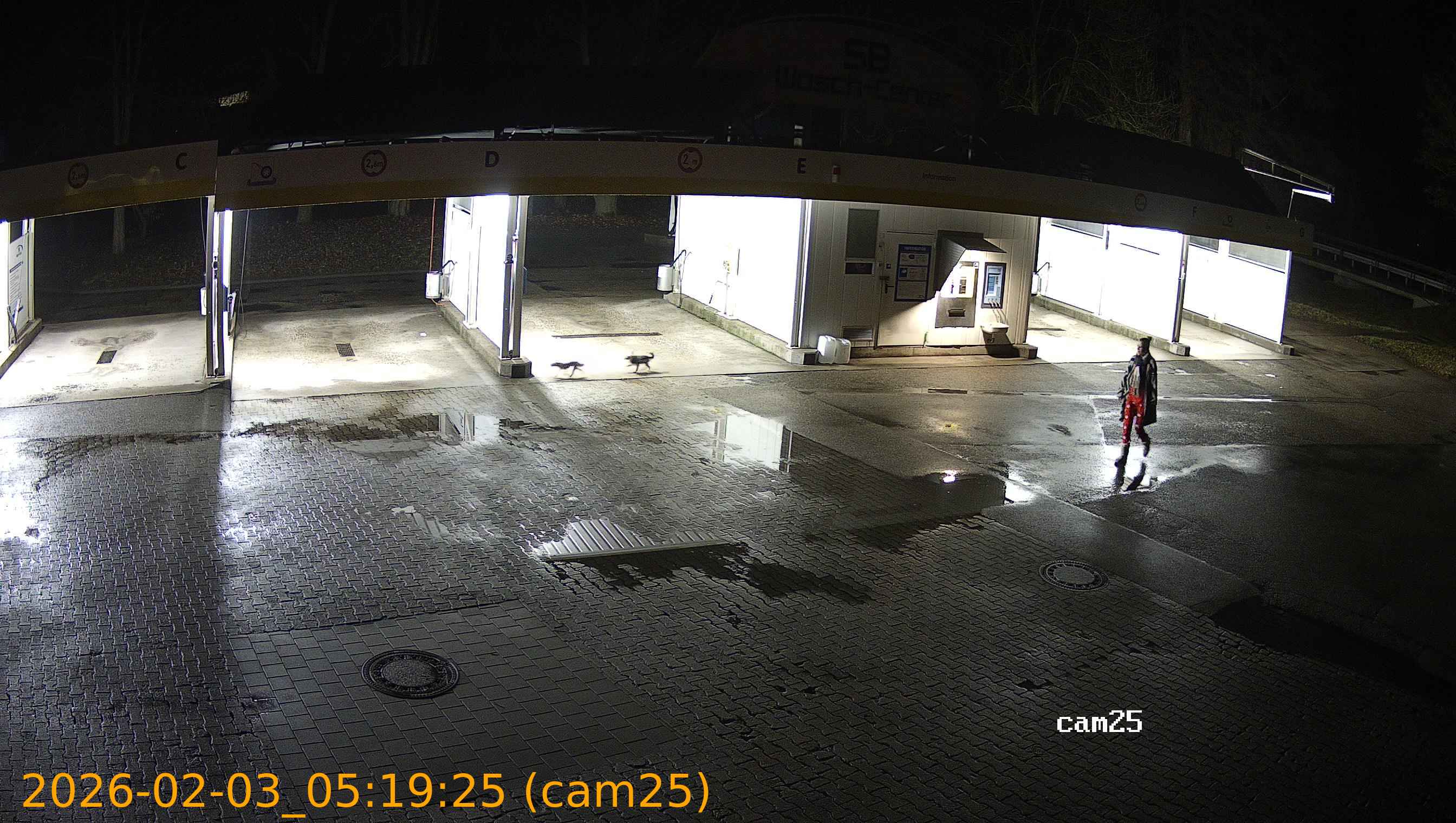 thumbnail_20260203051925